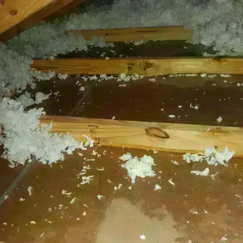 Attic Water Damage in Tontitown, AR