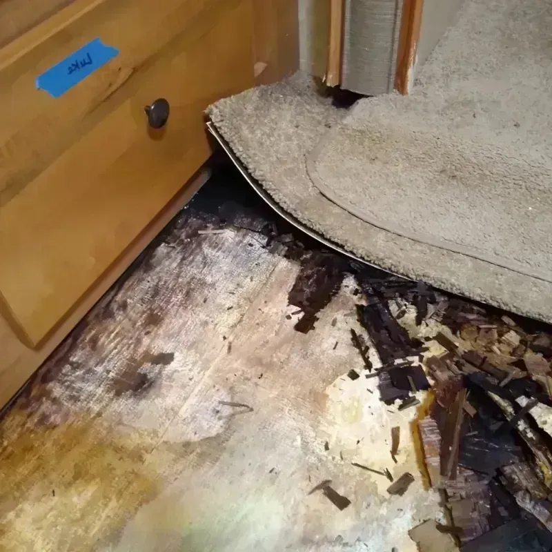 Best Wood Floor Water Damage Service in Tontitown, AR